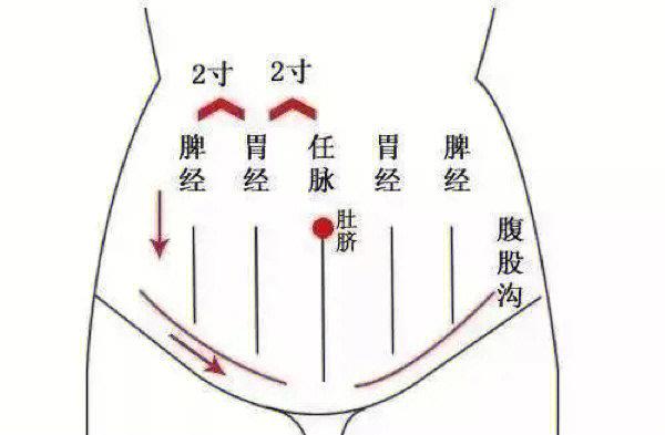 8个手法推拿腹部_好处多多(推拿大成腹部)