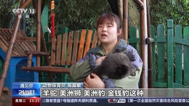 带薪“撸虎玩熊”？她4年里拉扯大200多只猛兽崽崽(動物保育員猛獸)