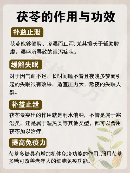 坚持饮用茯苓泡水_身体或收获3个益处_和2味中药搭配效果更佳(茯苓中藥飲用)