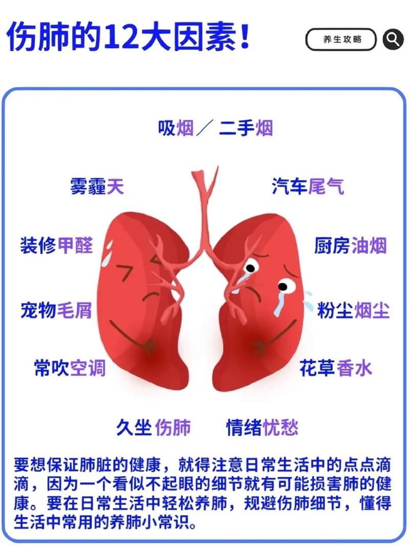 8 个人肺部天然排毒方法_烟友必备(肺部排毒必備)