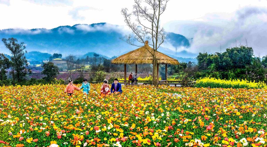 南阳市卧龙区：文明花开香成海 村景乡风都是歌(七裡白塔花開)