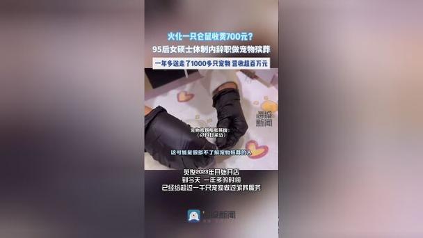 985硕士裸辞做“宠物殡葬师”：开店一年多_为超1000只宠物做过殡葬服务(寵物殯葬傢長)