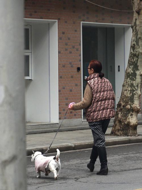 长春女子小区遛狗 却因别人家狗叫遭暴打(小馬打人男子)