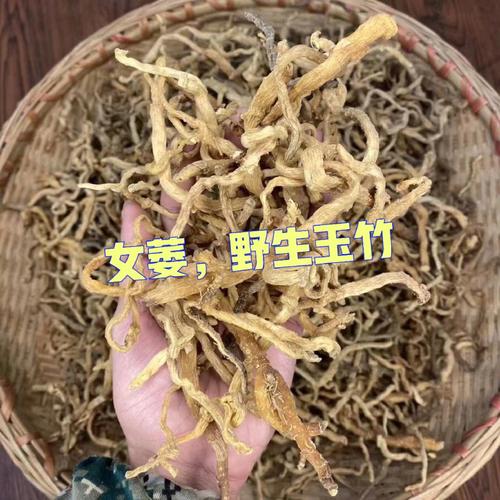 玉竹又名葳蕤_具有养阴润燥之效_还能润泽肌肤(玉竹還能潤澤)