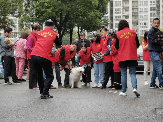 齐河：文明养宠_你我同行！他们_开展萌宠义诊志愿服务(寵物義診居民)