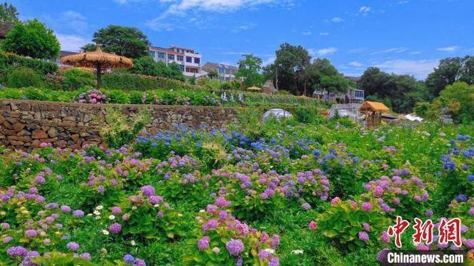 文旅部推荐8条湖北乡村旅游精品线路_打卡攻略请收好(鄉村花海景區)