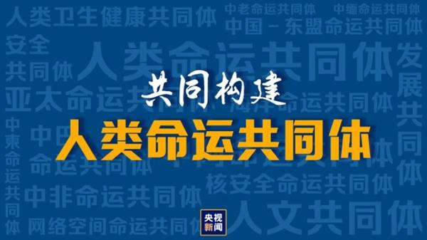 激活先行判决 让正义不迟到(判決先行指引)